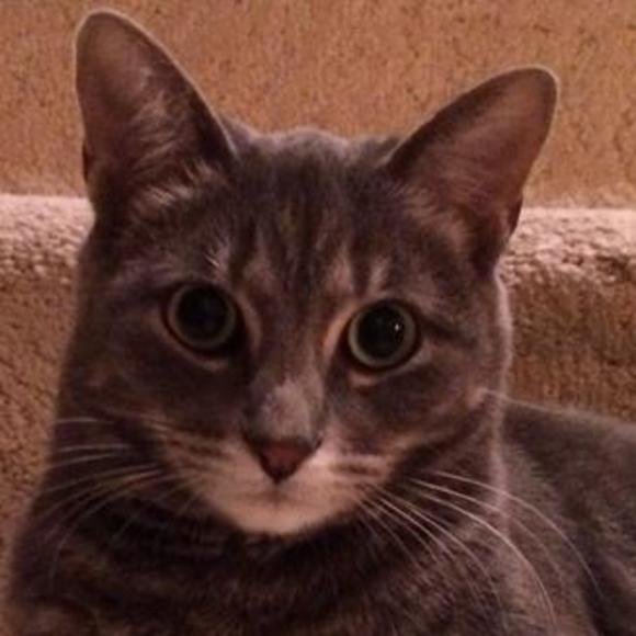 Meet your Posher, Carrie - Picture 1 of 1